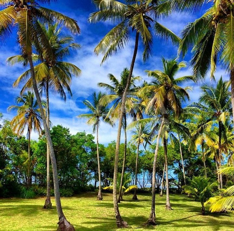 praia particular, boipeba, bahia, ilhéus, privacidade