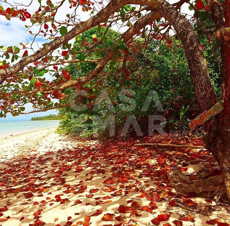 praia particular, boipeba, bahia, ilhéus, privacidade