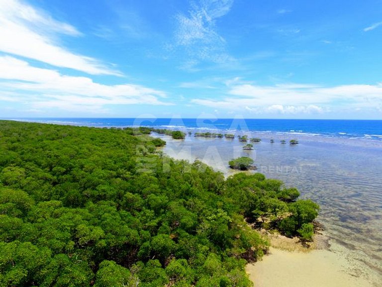 praia particular, boipeba, bahia, ilhéus, privacidade
