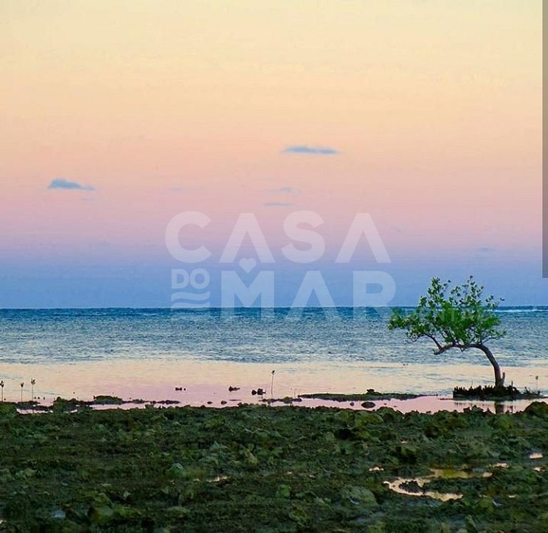 praia particular, boipeba, bahia, ilhéus, privacidade