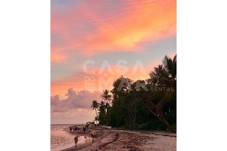 praia particular, boipeba, bahia, ilhéus, privacidade