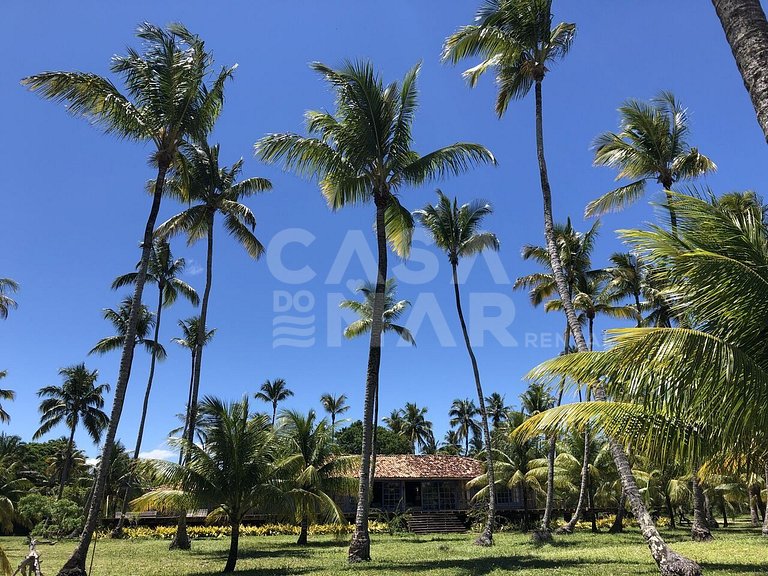 praia particular, boipeba, bahia, ilhéus, privacidade