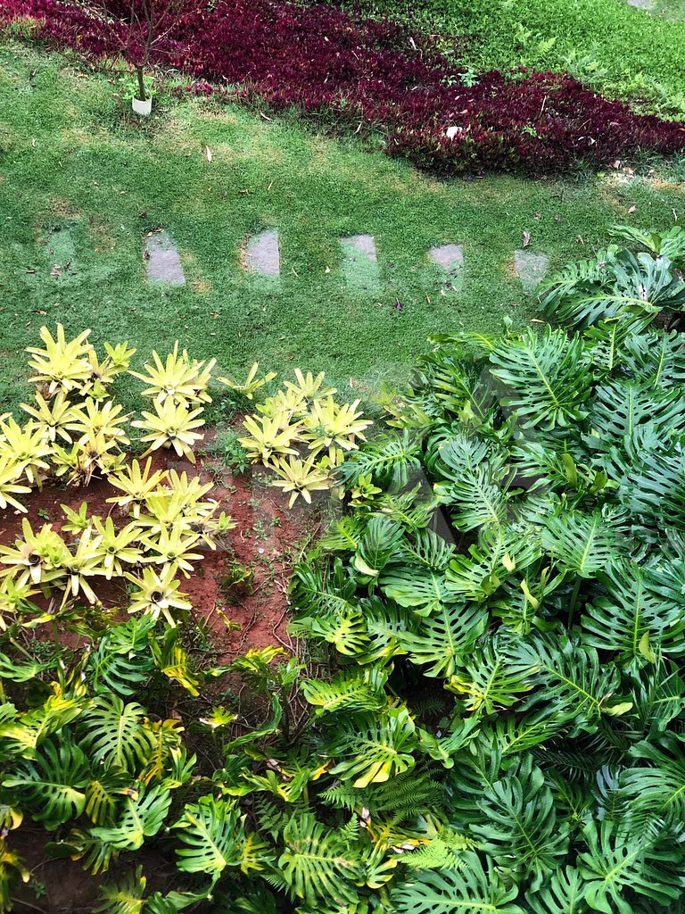 Linda casa em Itaipava com seis suítes, piscina e vista para