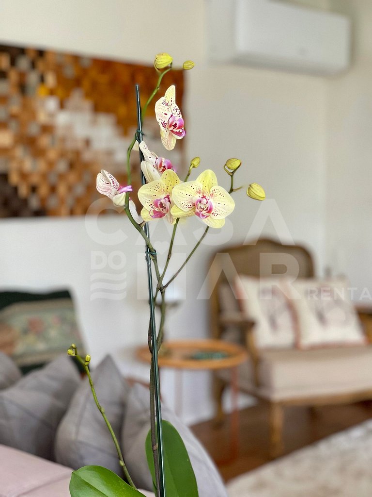 Beautiful house with 4 bedrooms, swimming pool, barbecue, in
